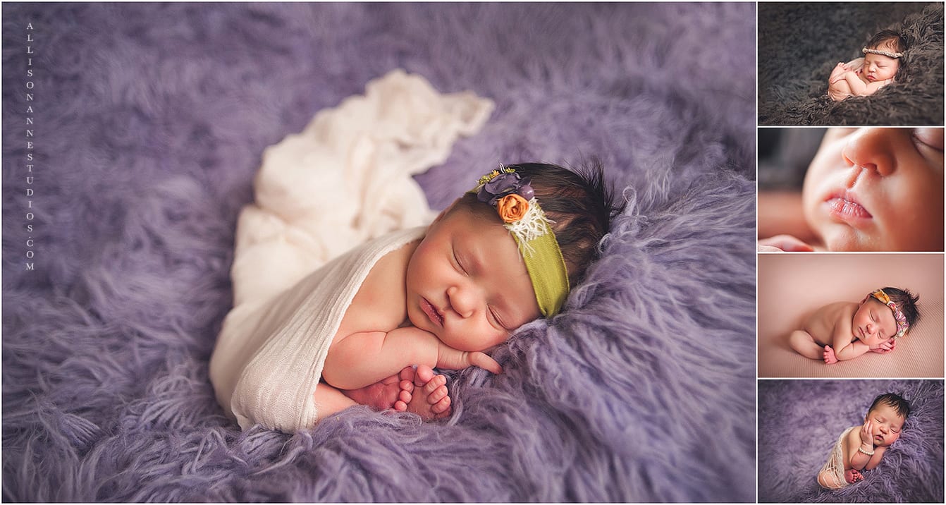 Purple, Madelyn,  AllisonAnne Studios, Gift Certificate, sleepy, Hammonton, Newborn Photographer, South Jersey, Best newborn photographer, Allison Gallagher