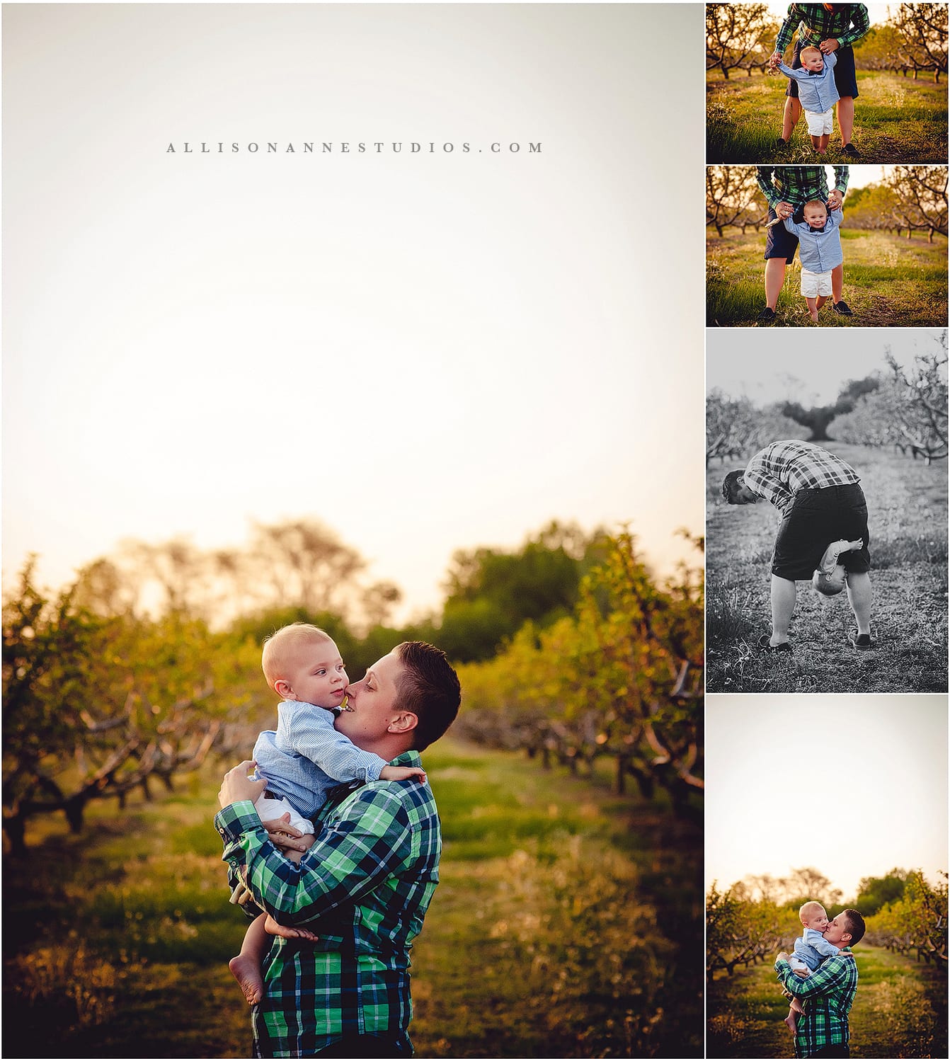 Birthday Orchard Session, family, love, Tula Wraps, Tula Carriers, The Dance Connection, Hammonton, Best South Jersey Family Photographer, AllisonAnne Studios