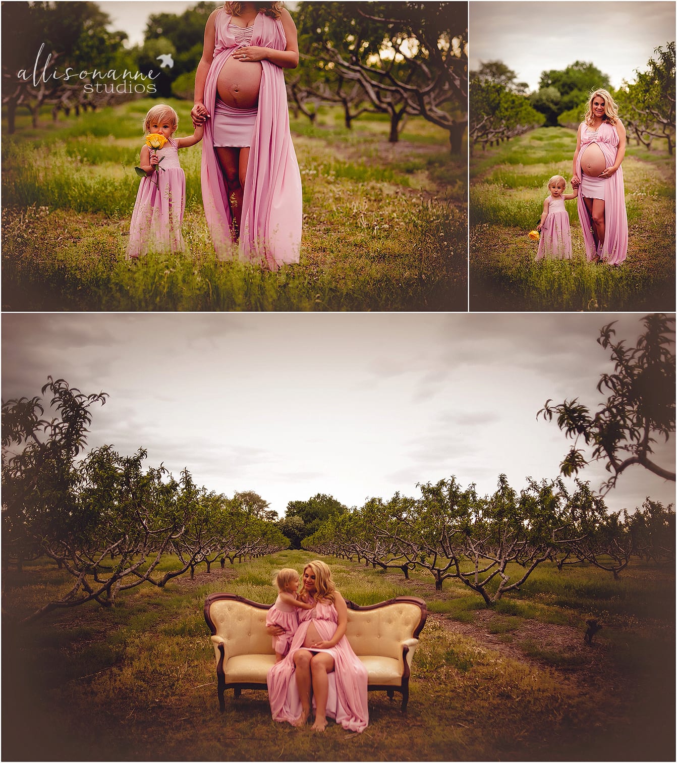 Pink Maternity Dress, motherly love, Peach orchards, First Year Journey Package, Hammonton, AllisonAnne Studios, Allison Gallagher, Best SJ Photographer