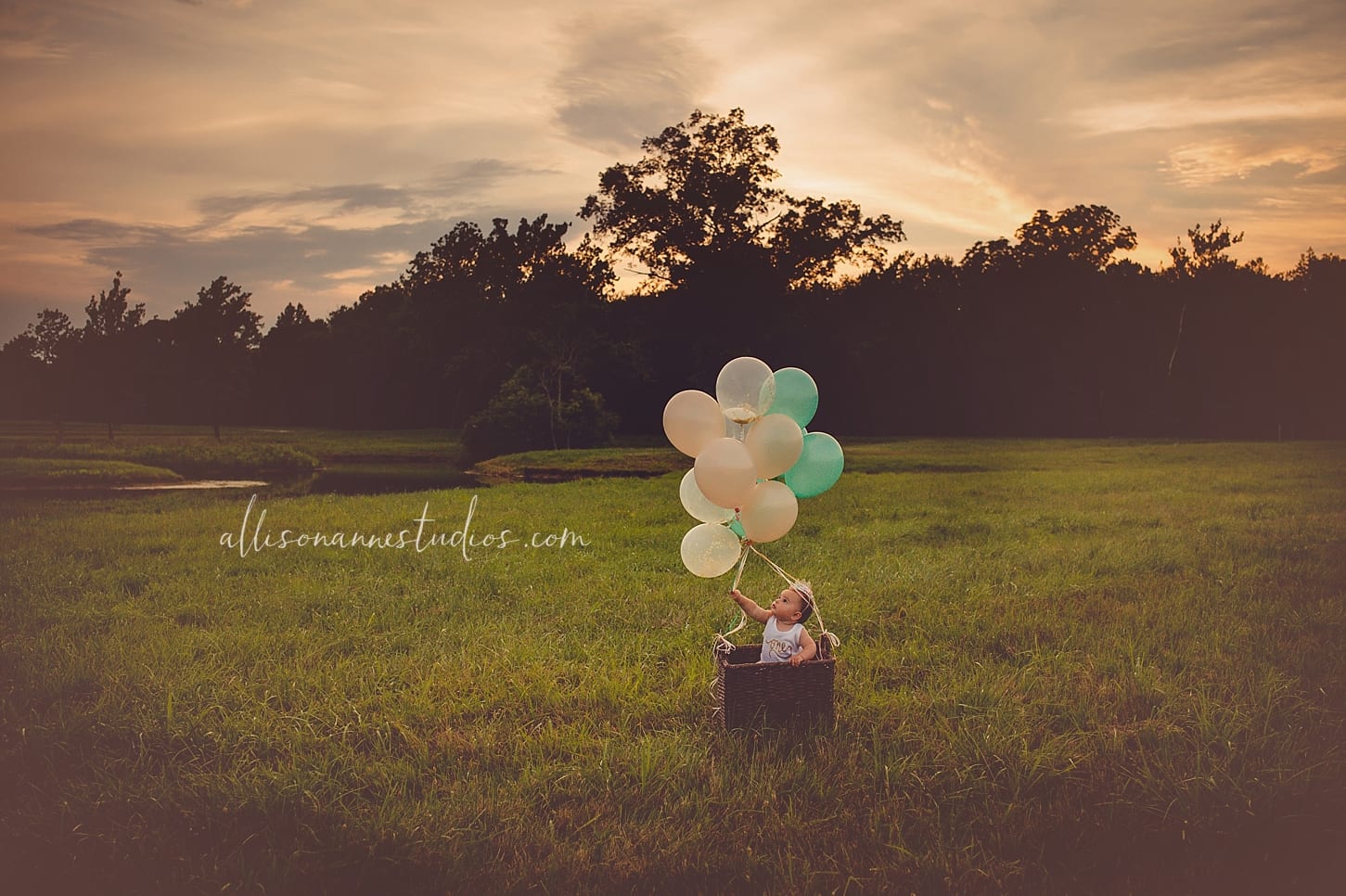 hot air balloon, best photographer in South Jersey, cake Smash, first Birthday, modcloth, style, shop Rite cake, big brown eyes, shy baby, beautiful family, love, Allison Gallagher, AllisonAnne Studios, Hammonton, new clients, Google search